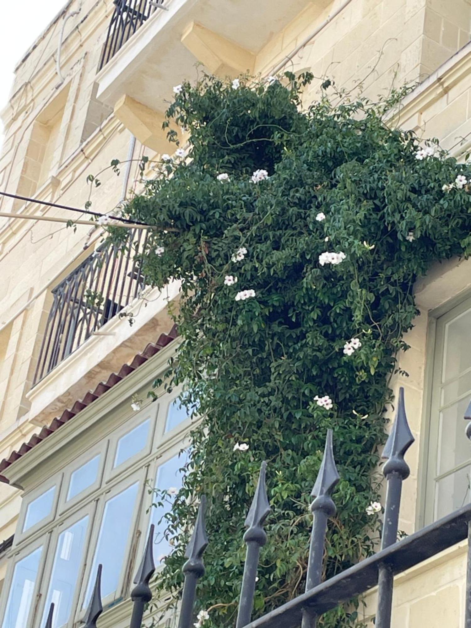 Simons Apartments Minutes Away From Balluta Bay And St Julians Sliema Exterior foto